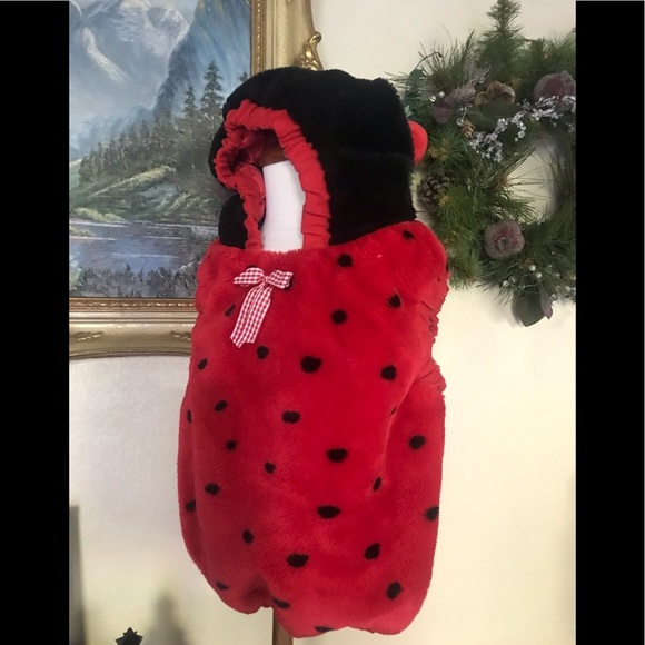 1999 Lady Bug Costume 12-24 Months FINAL SALE - Picture 6 of 8